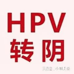 2024̨˺ҽԺhpvЧ(ͼ1)