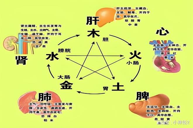 ҽɭΪθøСЧ(ͼ2)